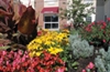 Design decisions: planting and maintaining a facility garden